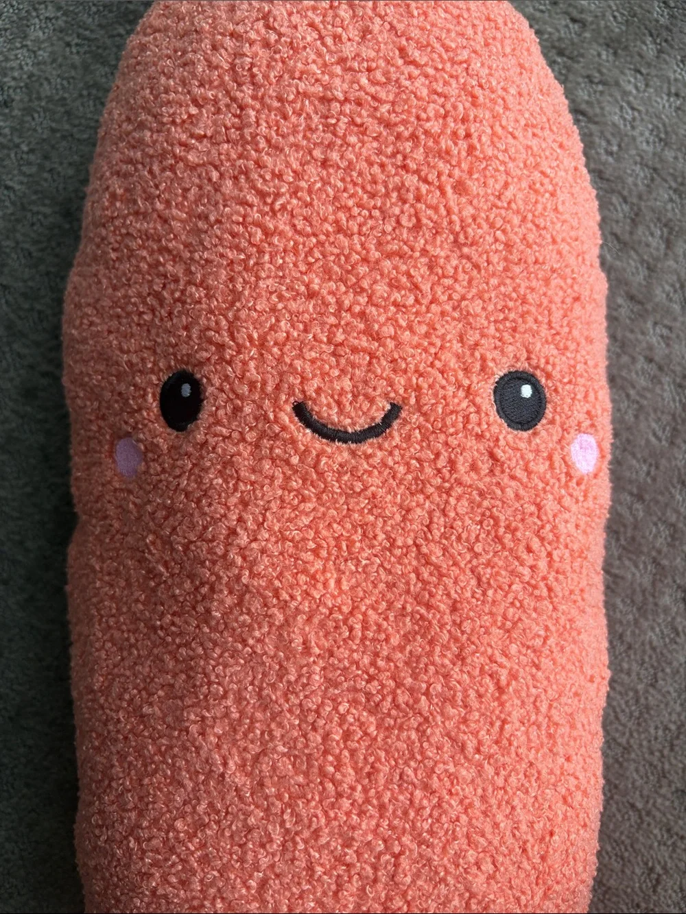 Giant carrot dog toy